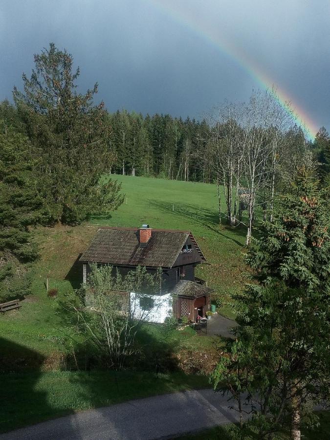 Ferienhaus "Badl" Villa Бад Гойзерн Екстериор снимка